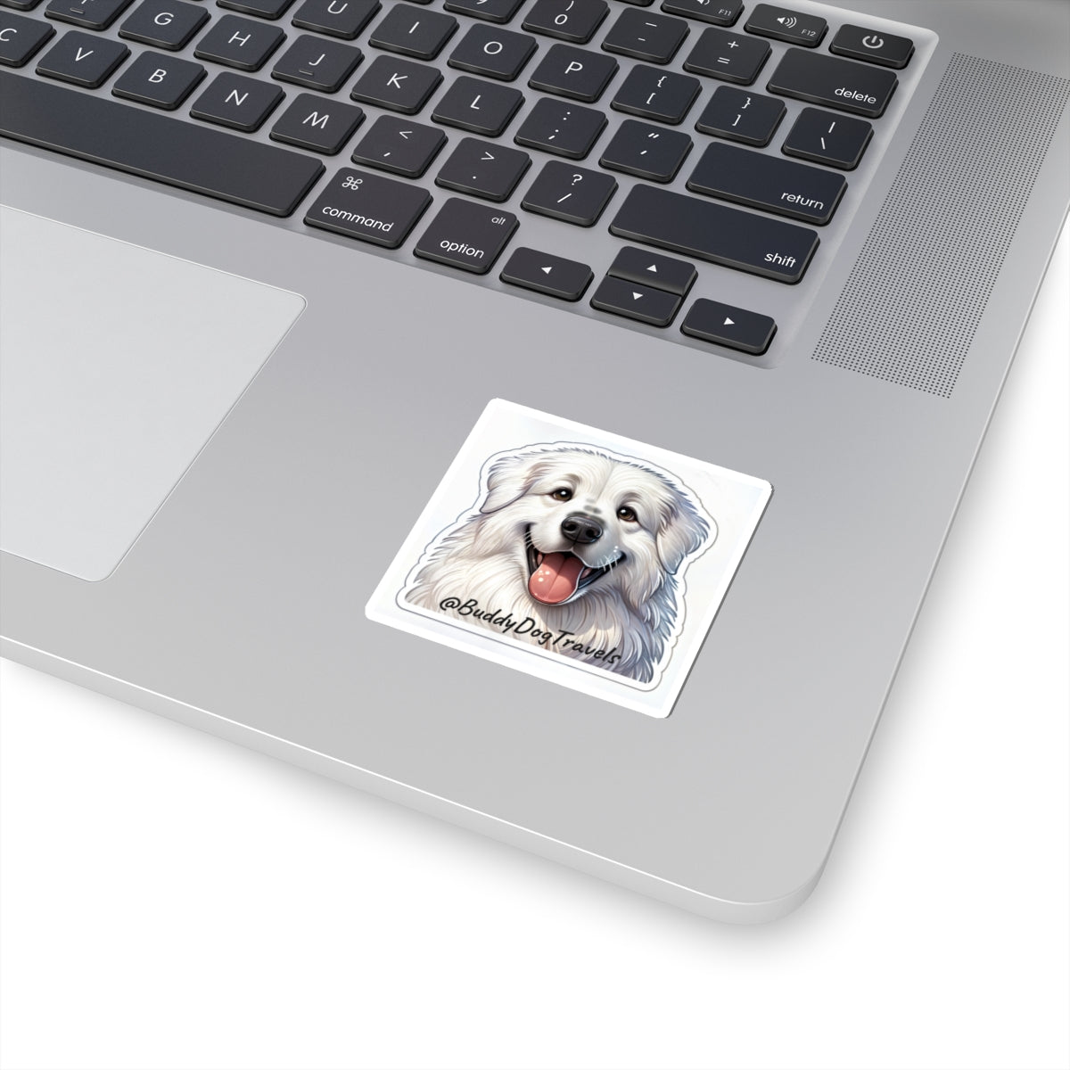 Kiss-Cut Stickers